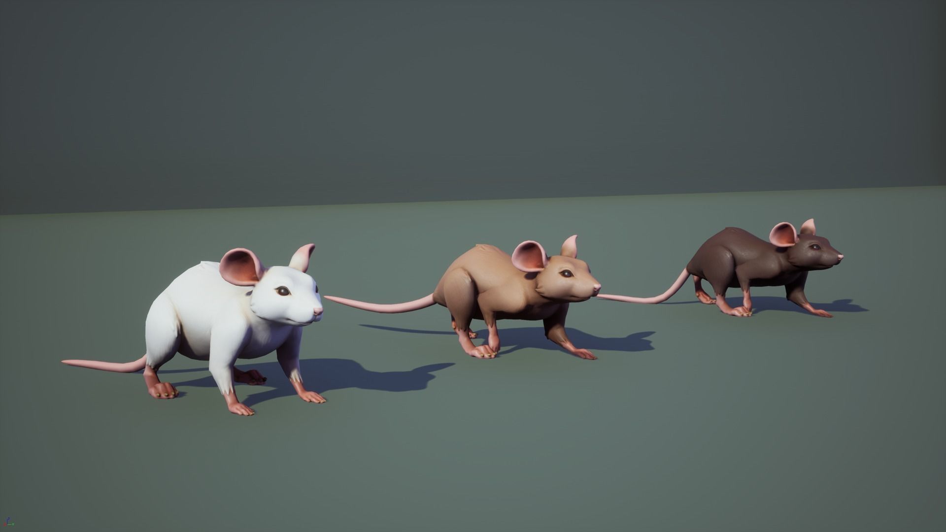 Mouse rat Low-poly 3D model_4