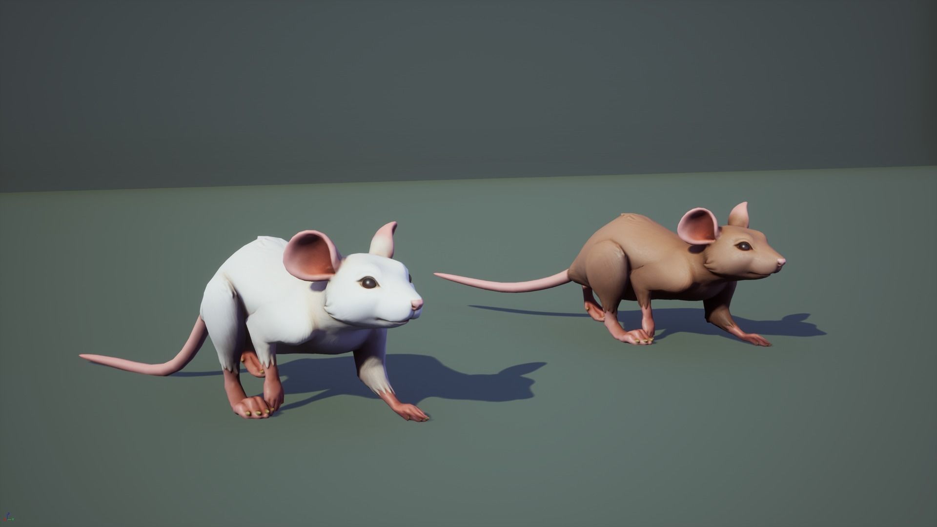 Mouse rat Low-poly 3D model_5