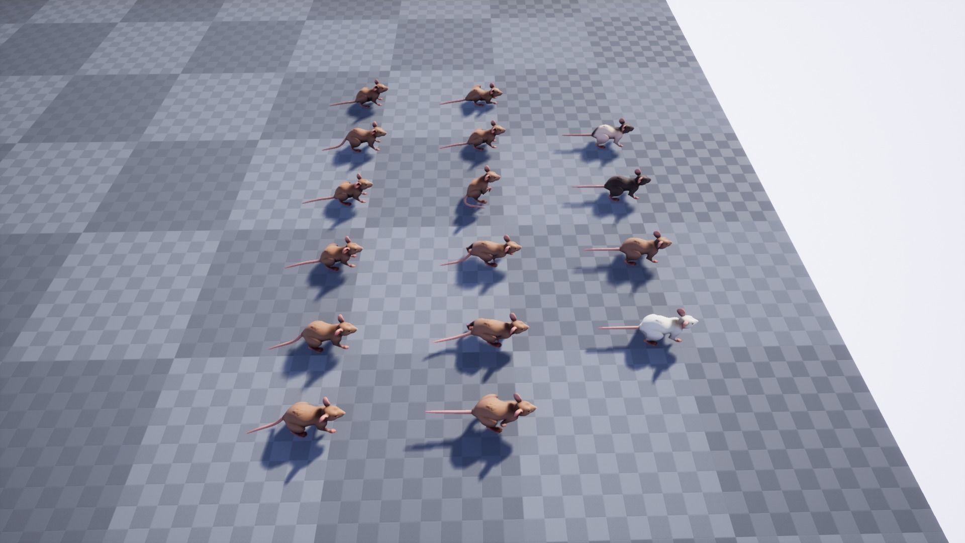 Mouse rat Low-poly 3D model_13