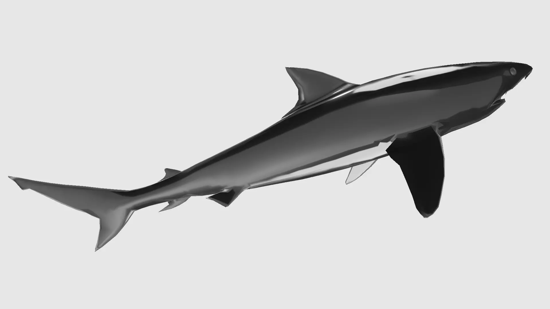 Tigershark shark 3D model_0
