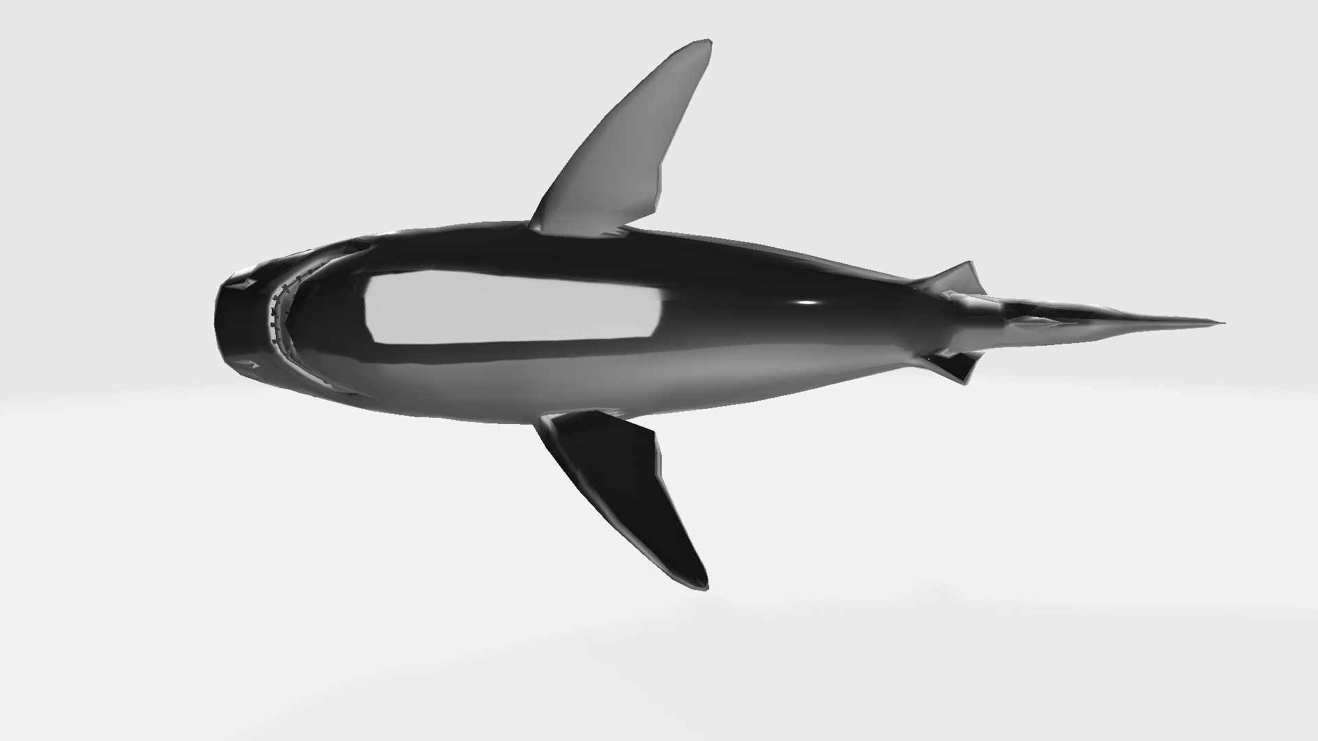 Tigershark shark 3D model_1