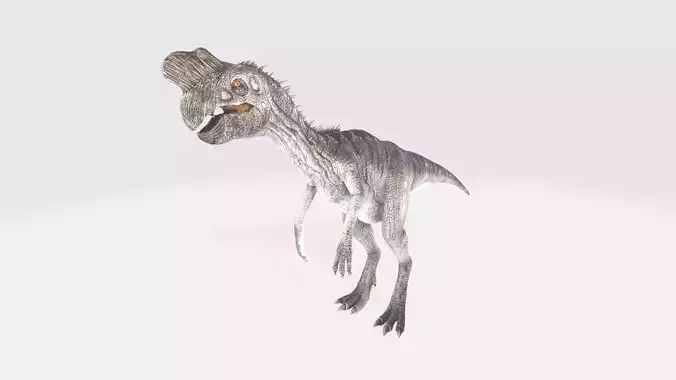 Oviraptor dinosaur 3D model