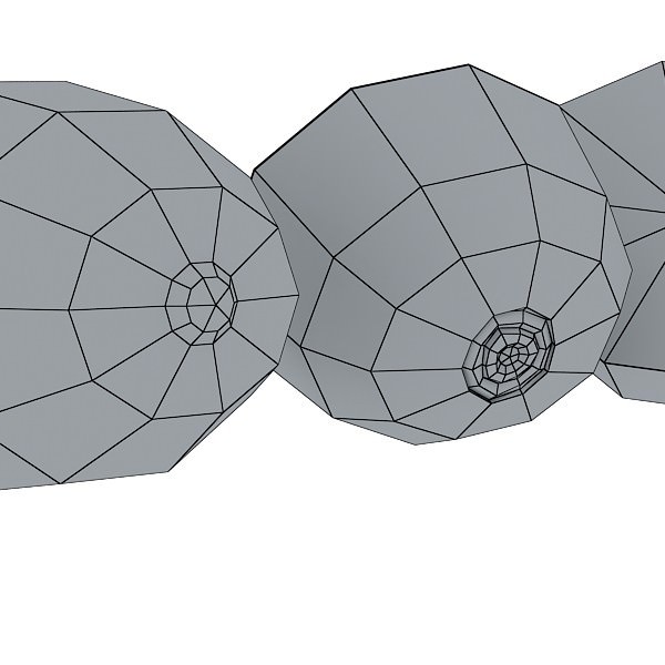 Kiwi Fruit in Basket 3D model_21