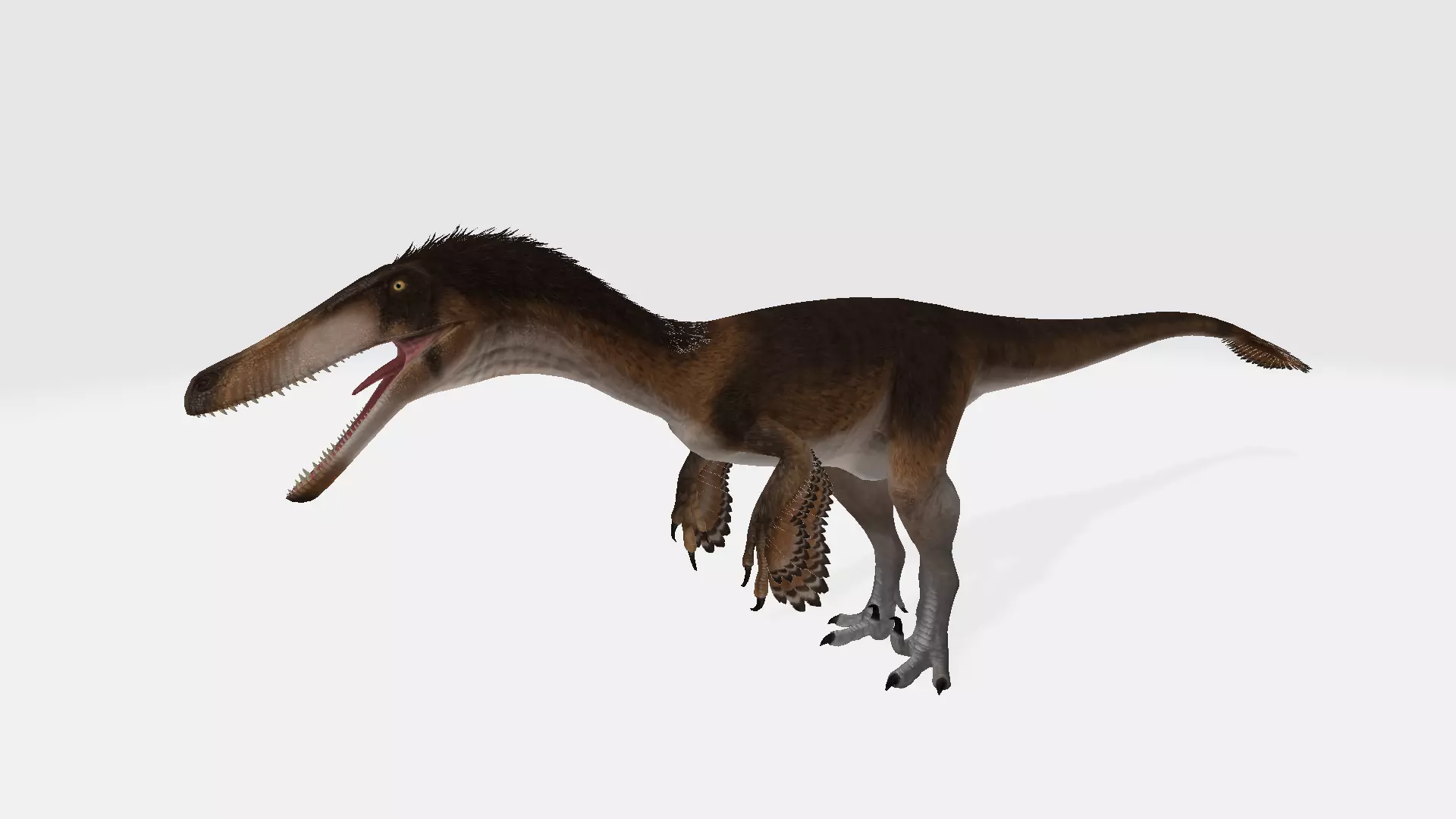 Austroraptor dinosaur 3D model_0