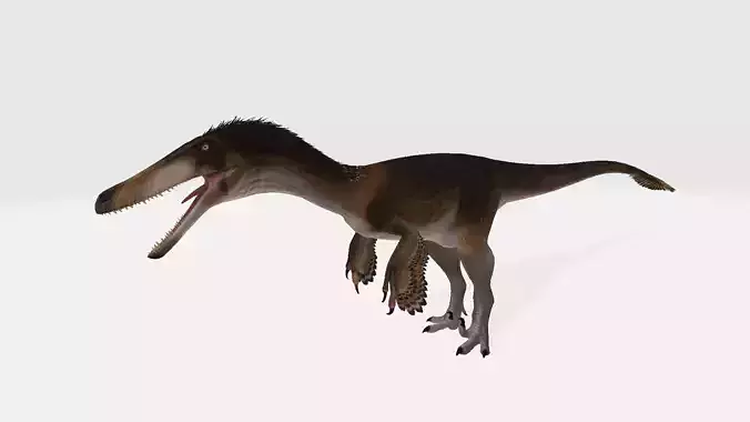 Austroraptor dinosaur