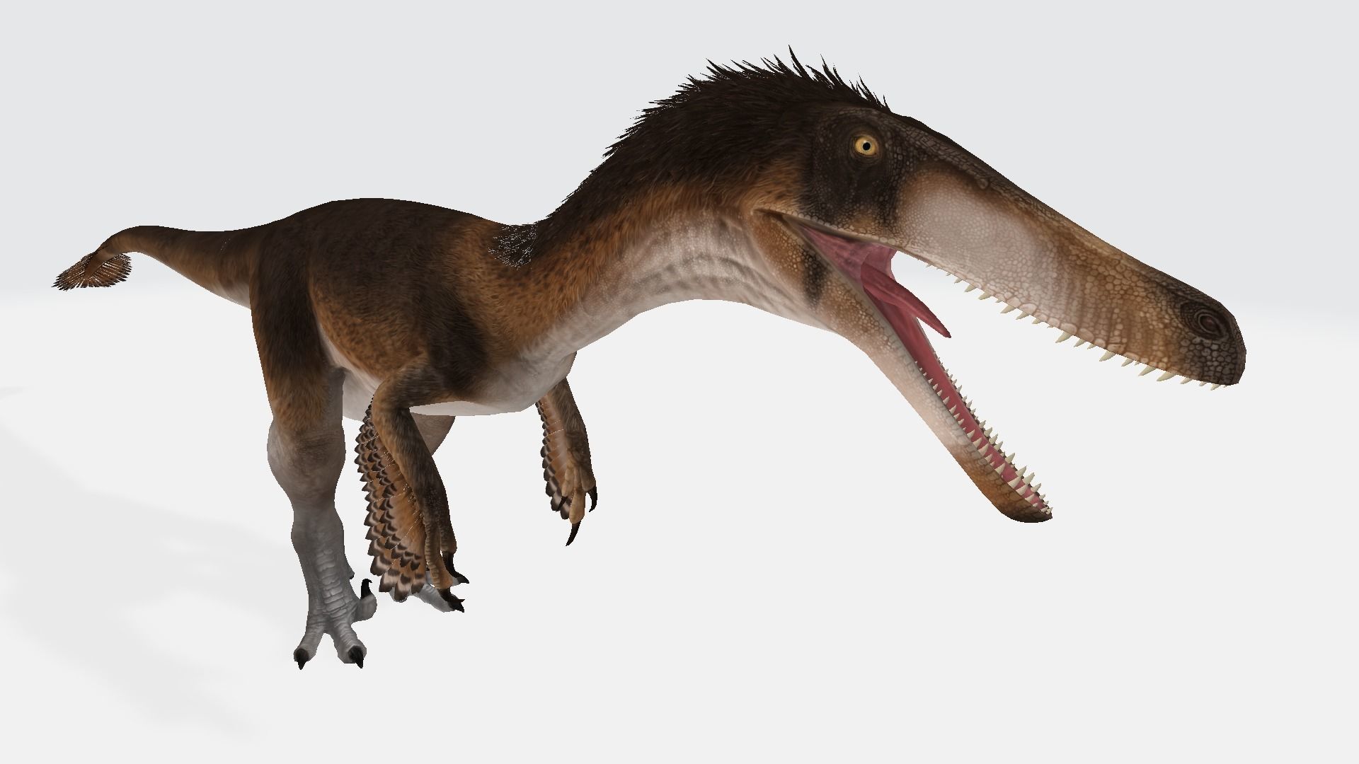Austroraptor dinosaur 3D model_1
