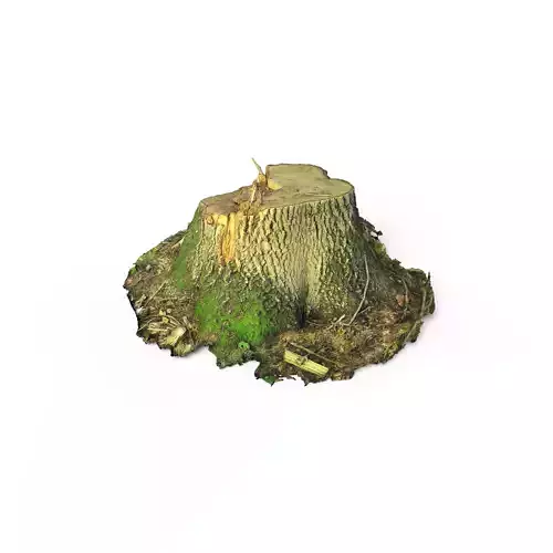 Forest Tree Stump 4K -Part 3-  Free low-poly 3D model