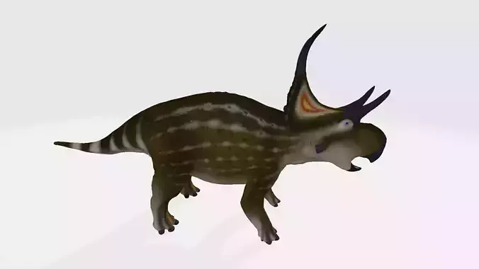 Diabloceratops triceratops dinosaur 3D model
