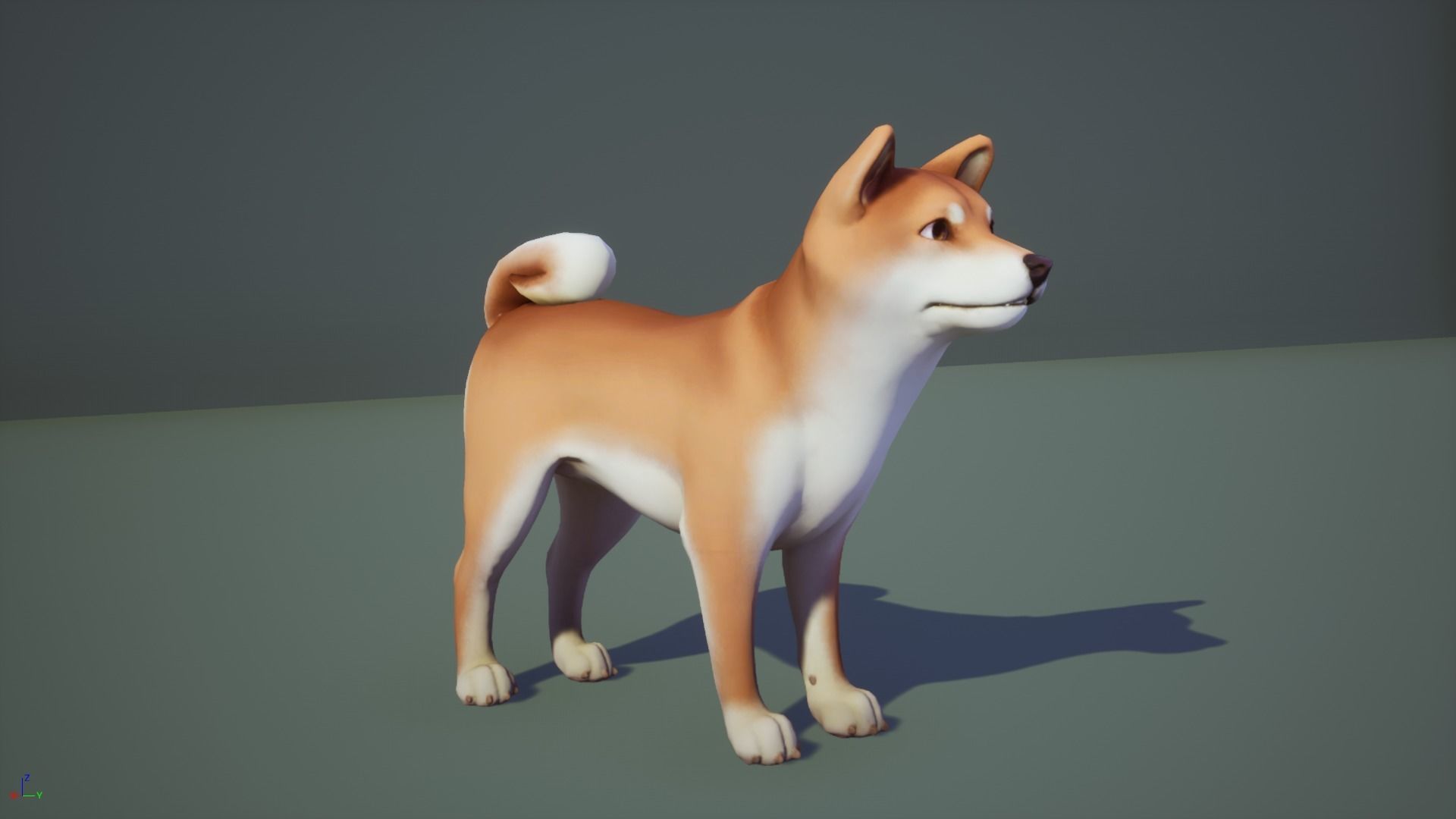 Dogs pack 3D Model Collection_10