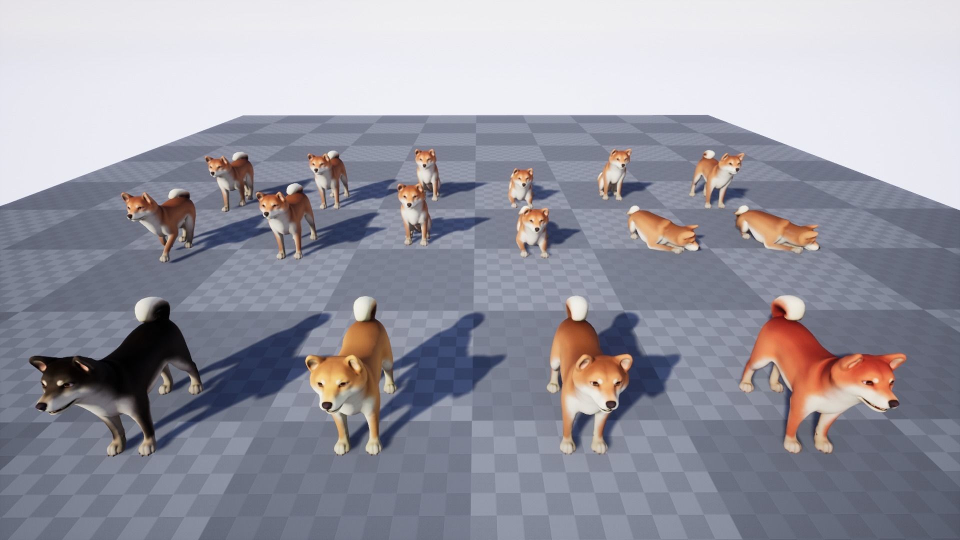 Dogs pack 3D Model Collection_12
