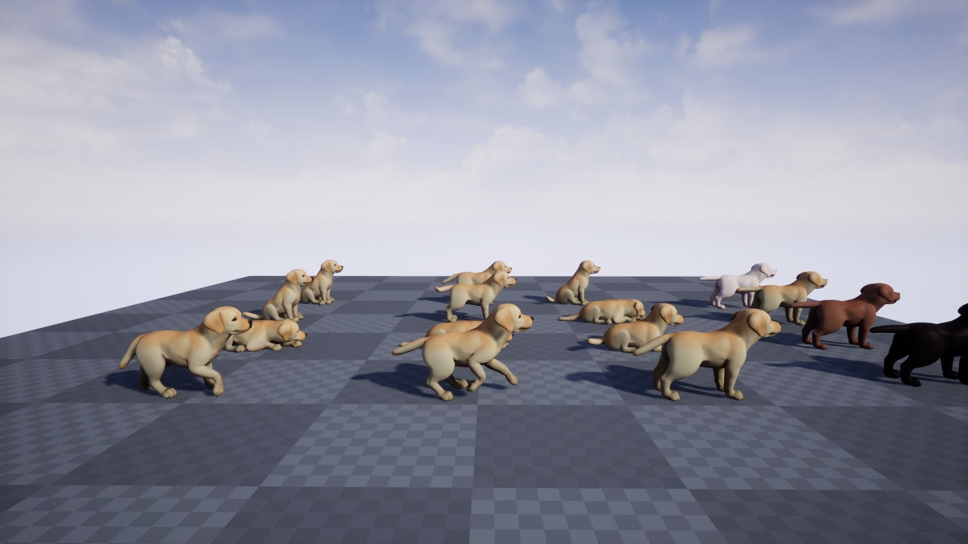 Dogs pack 3D Model Collection_8