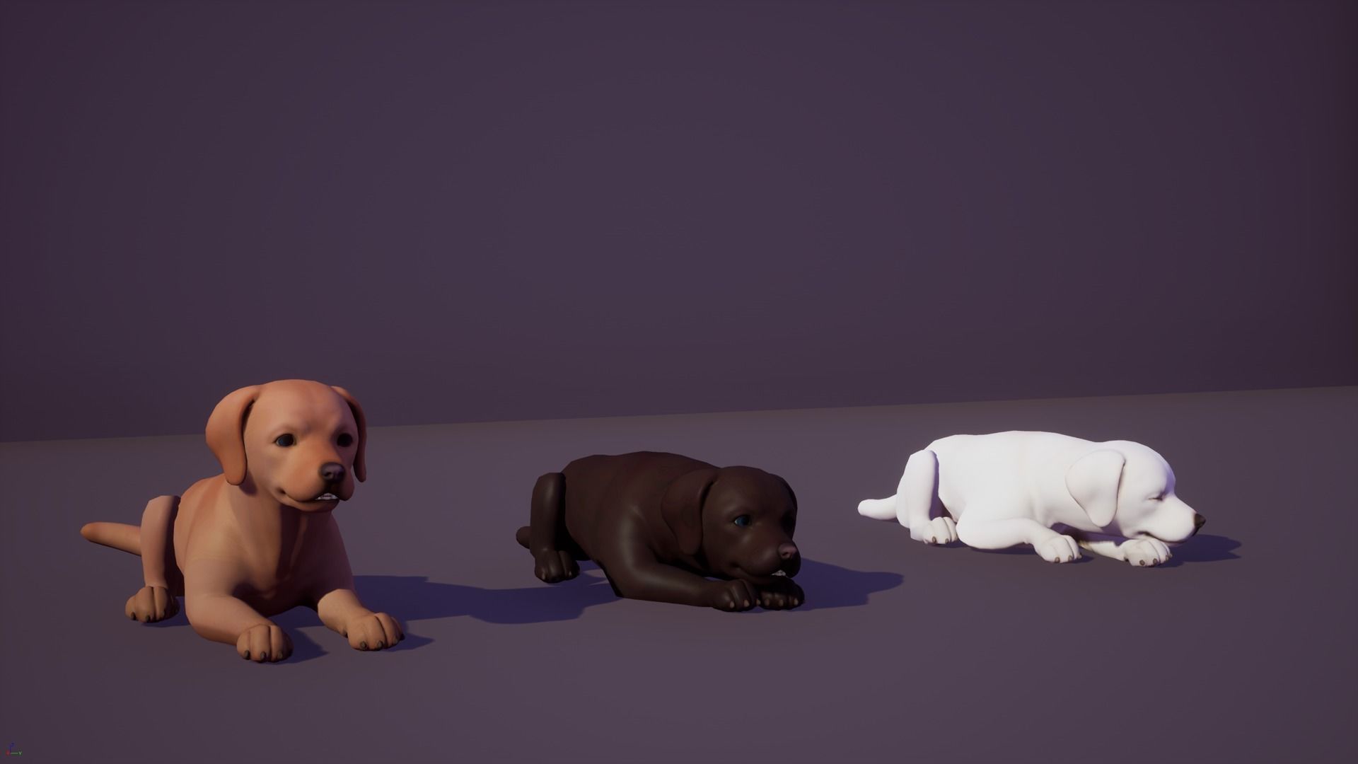 Dogs pack 3D Model Collection_6