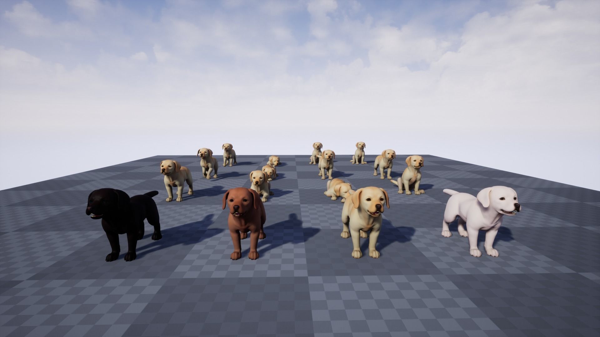 Dogs pack 3D Model Collection_7