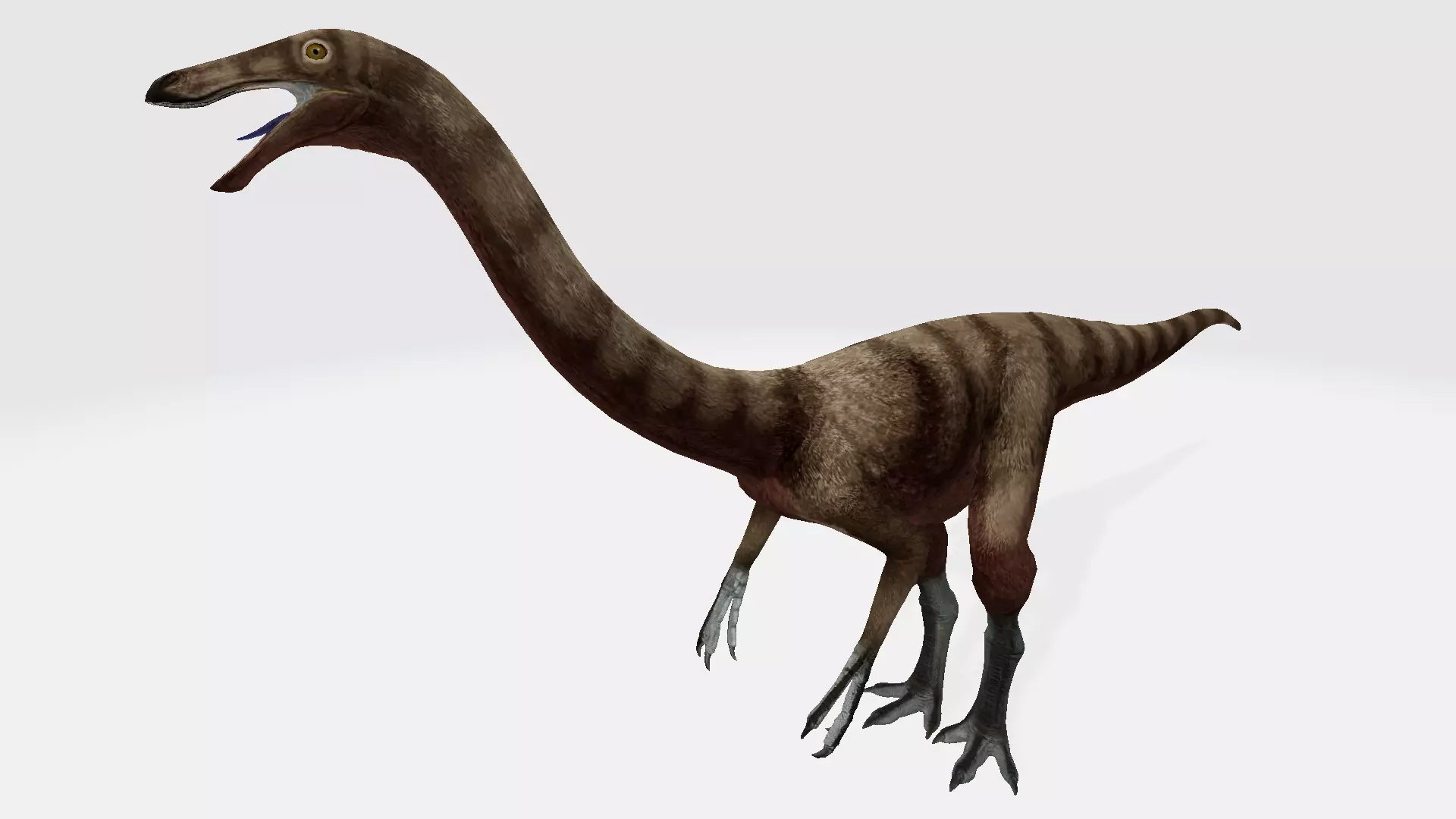 gallimimus dinosaur 3D model_0