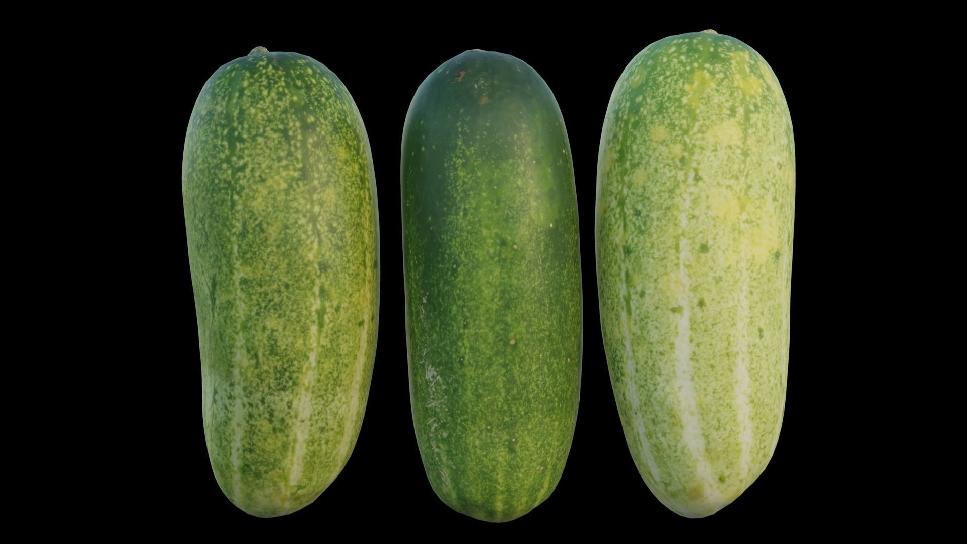Cucumber 04 3D model_8