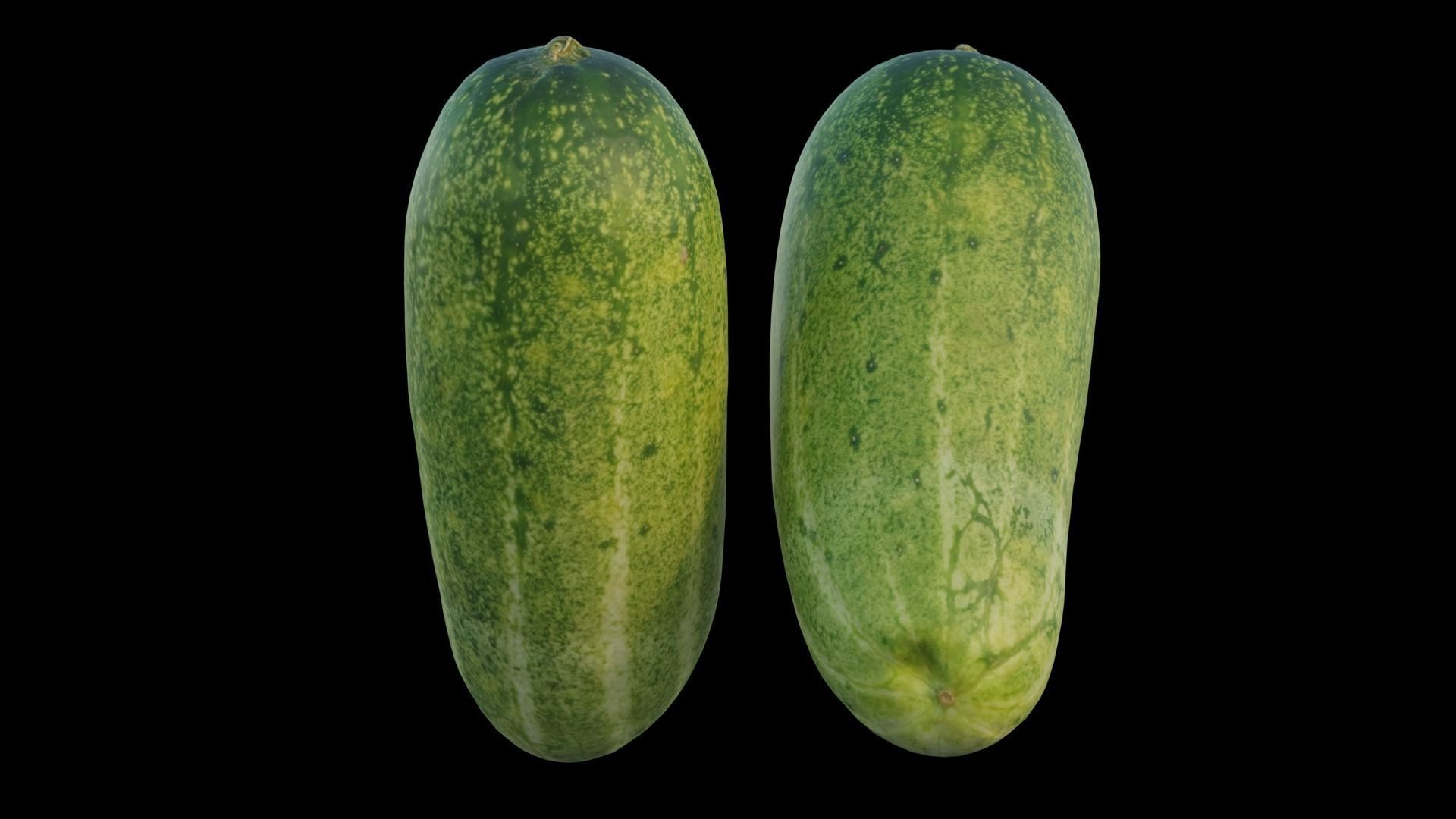 Cucumber 04 3D model_14