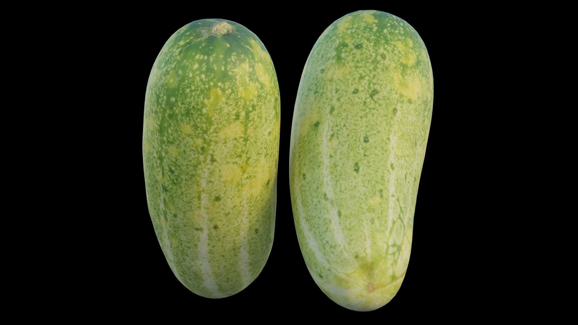 Cucumber 04 3D model_15