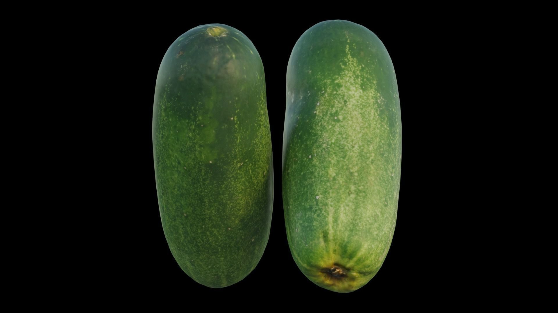 Cucumber 04 3D model_13