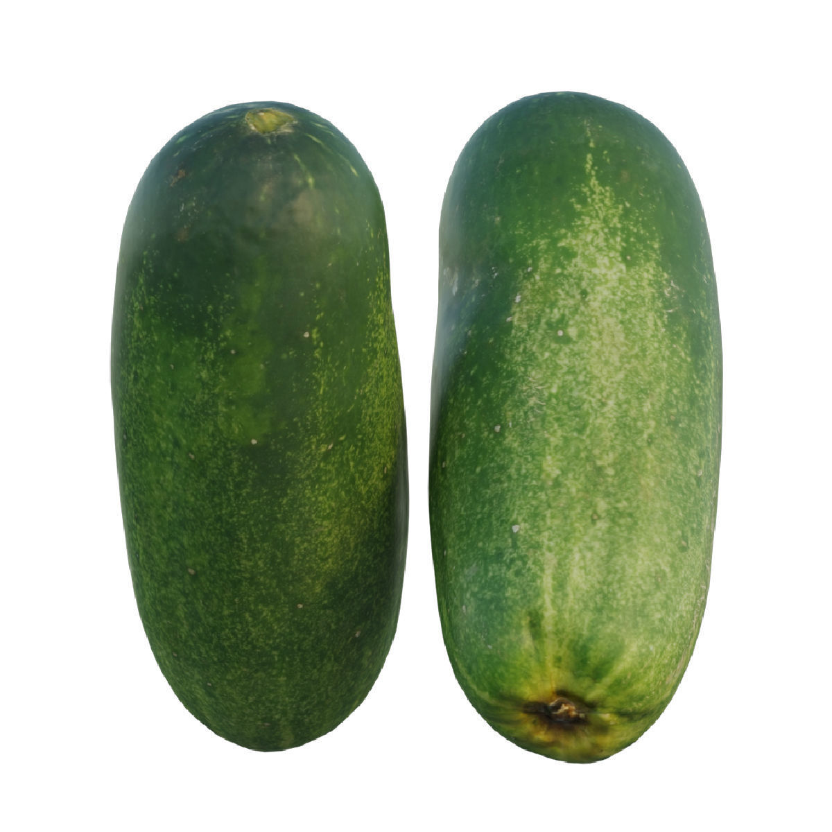 Cucumber 04 3D model_5