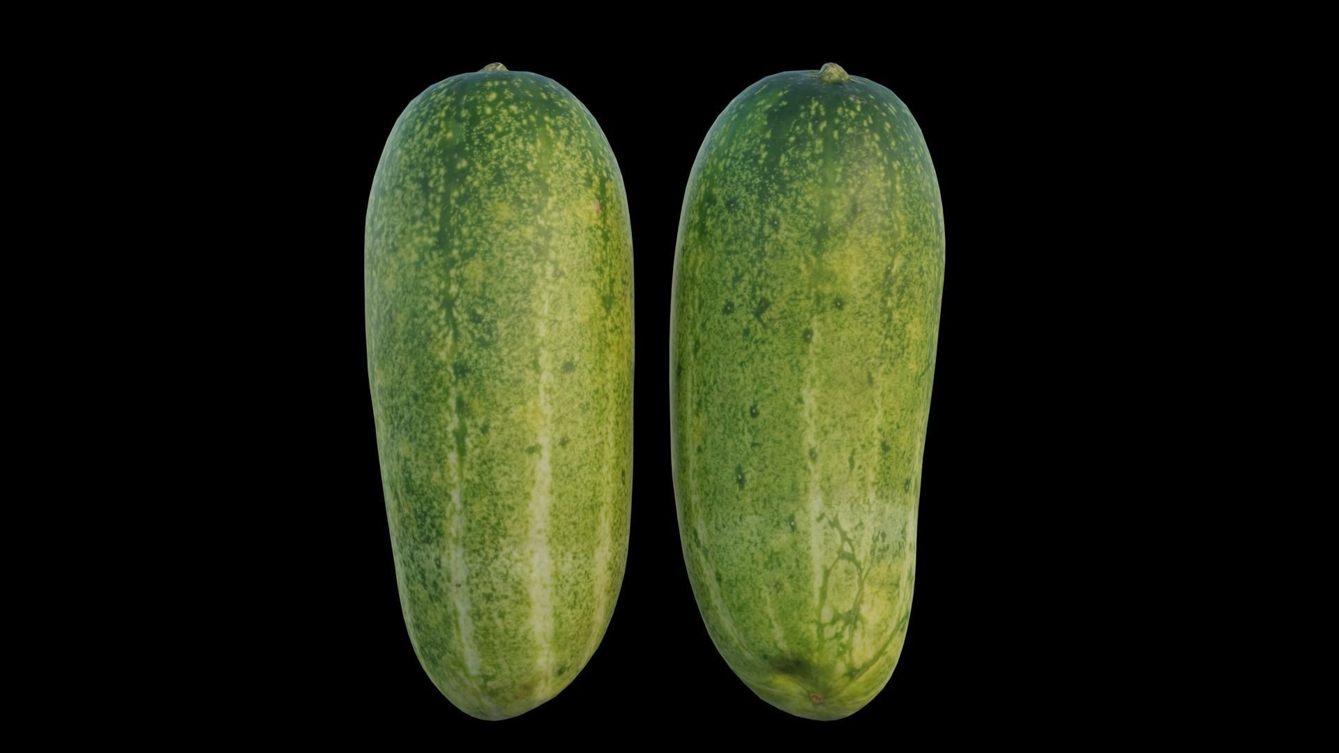Cucumber 04 3D model_10