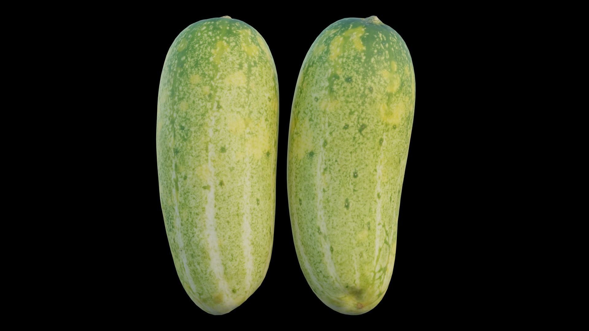Cucumber 04 3D model_12