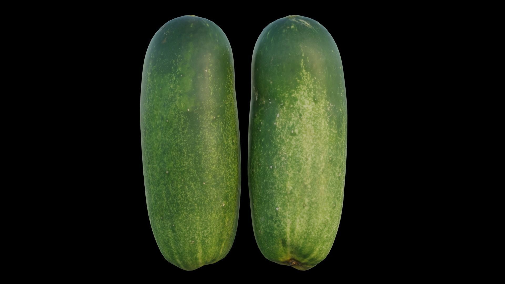 Cucumber 04 3D model_11