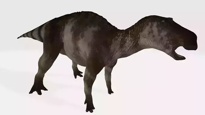 maiasaura dinosaur