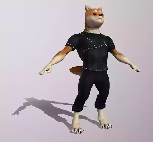 3d Shiba Character
