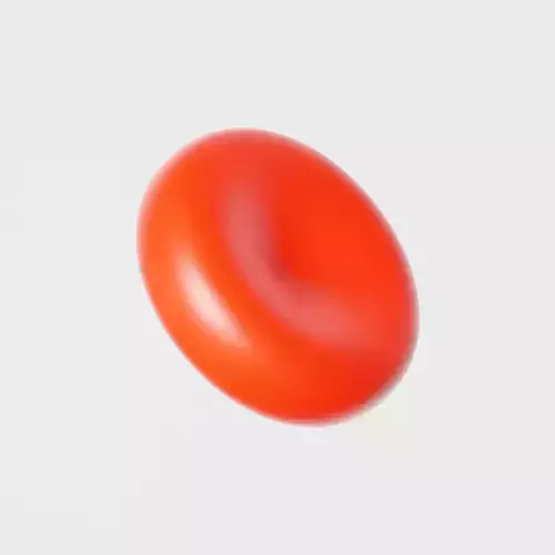 Red blood cell Low-poly 3D model Low-poly 3D model