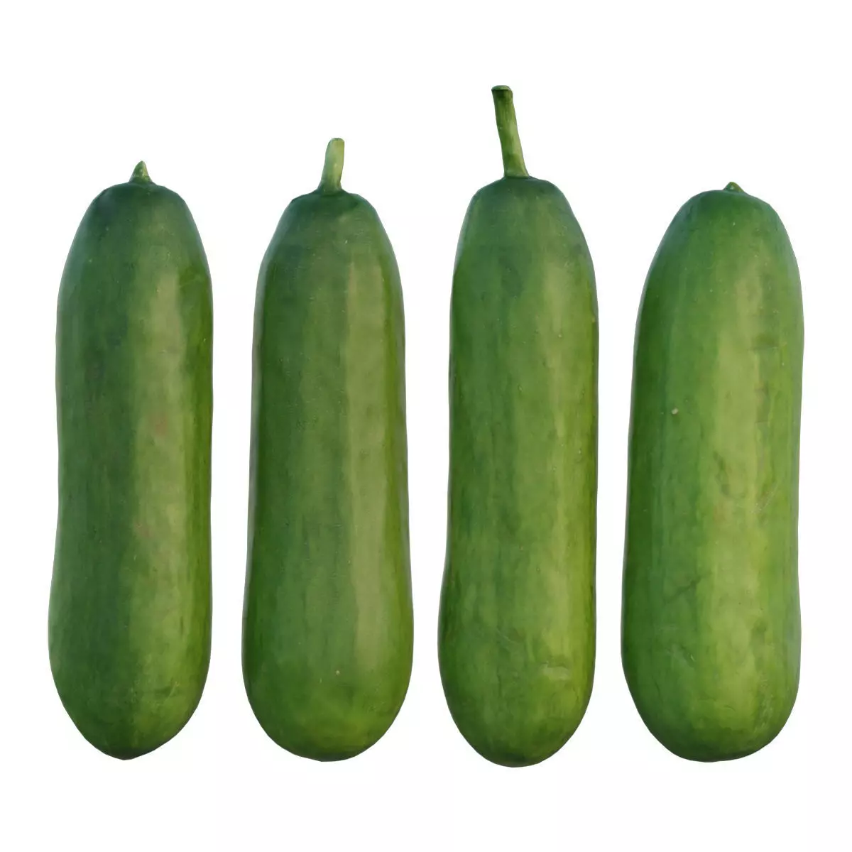 baby cucumber 04 3D model_0