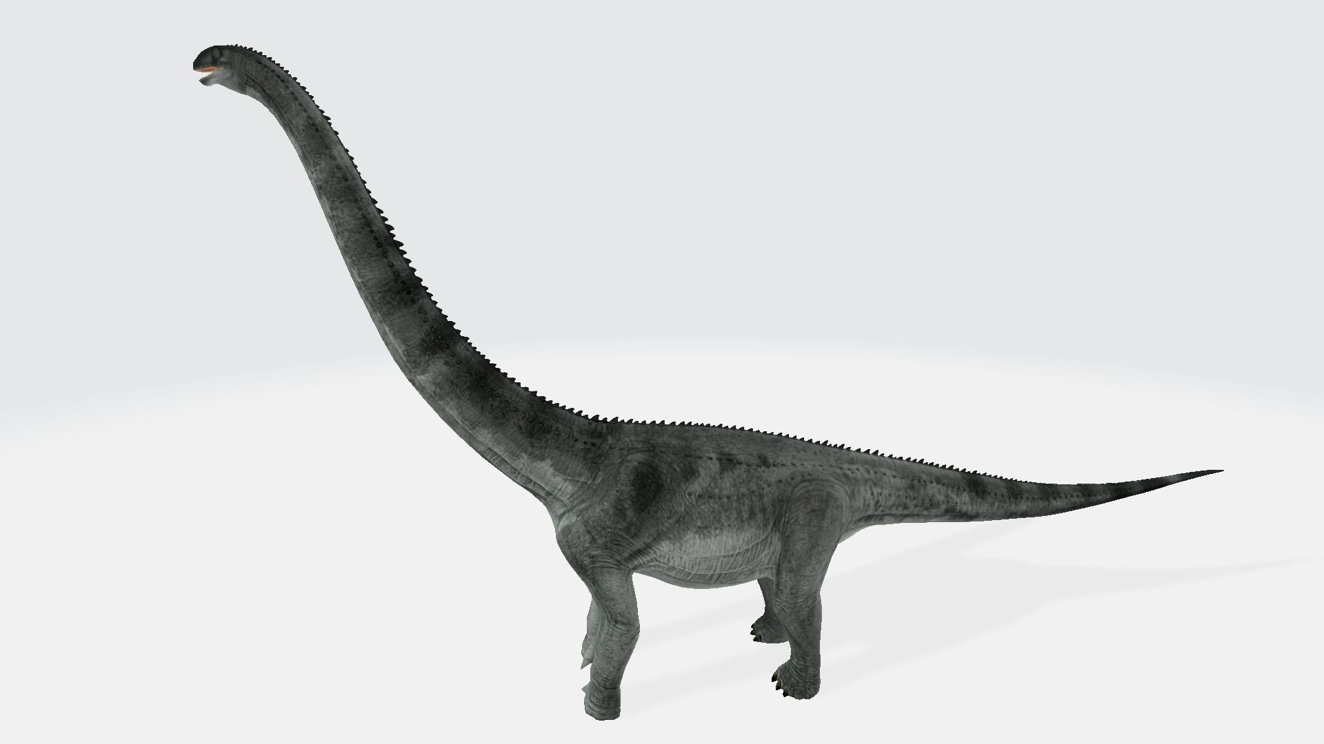 puertasaurus sauropod dinosaur 3D model_1