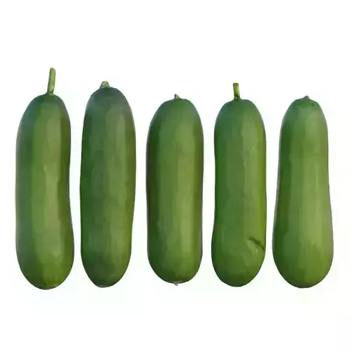 baby cucumber 05