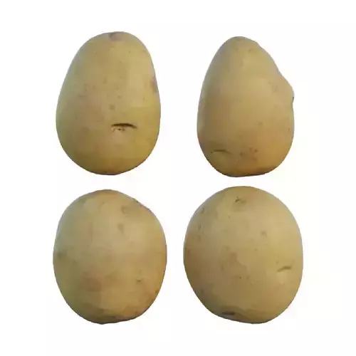 potato 02
