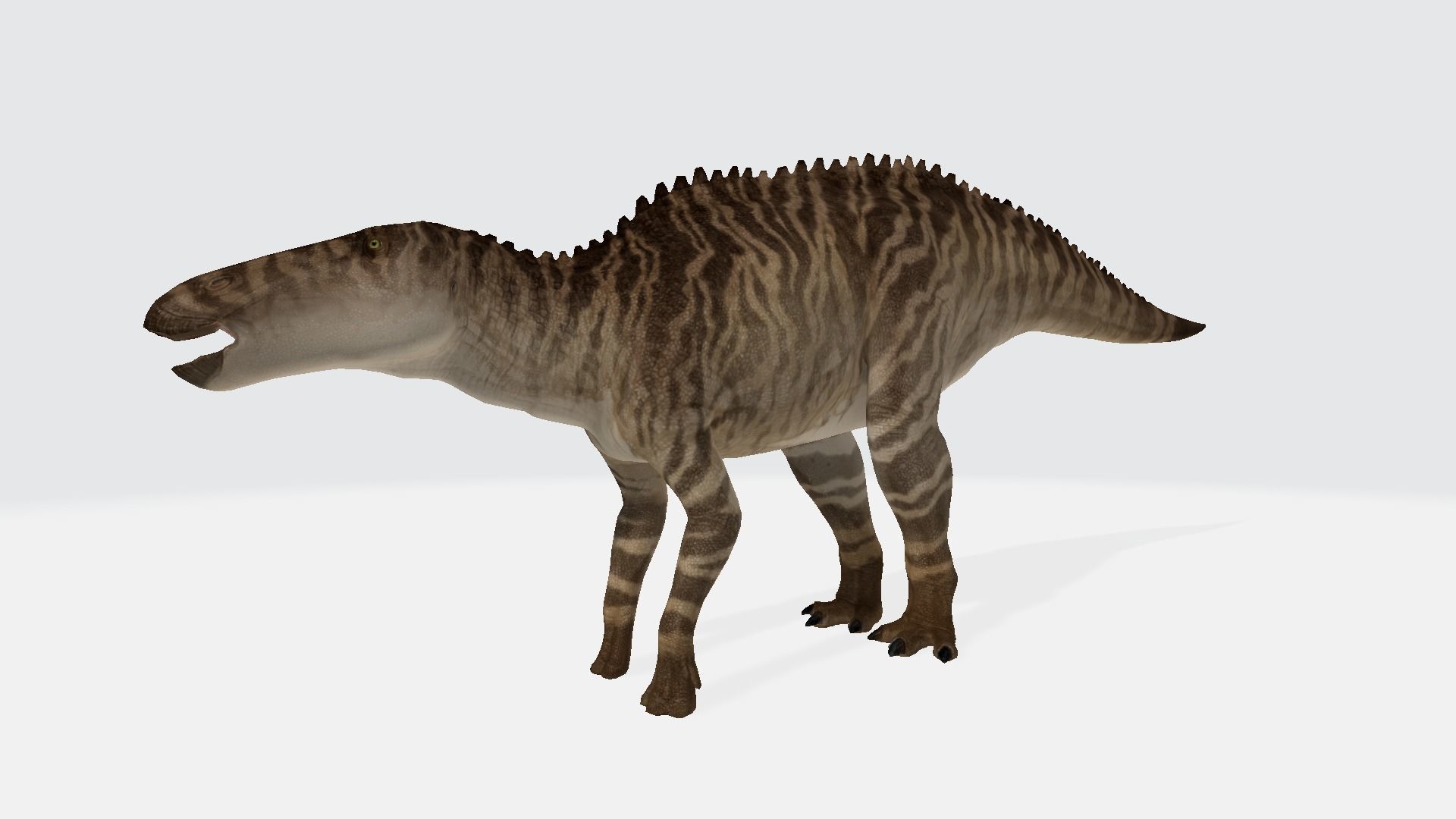 shantungosaurus dinosaur 3D model_1
