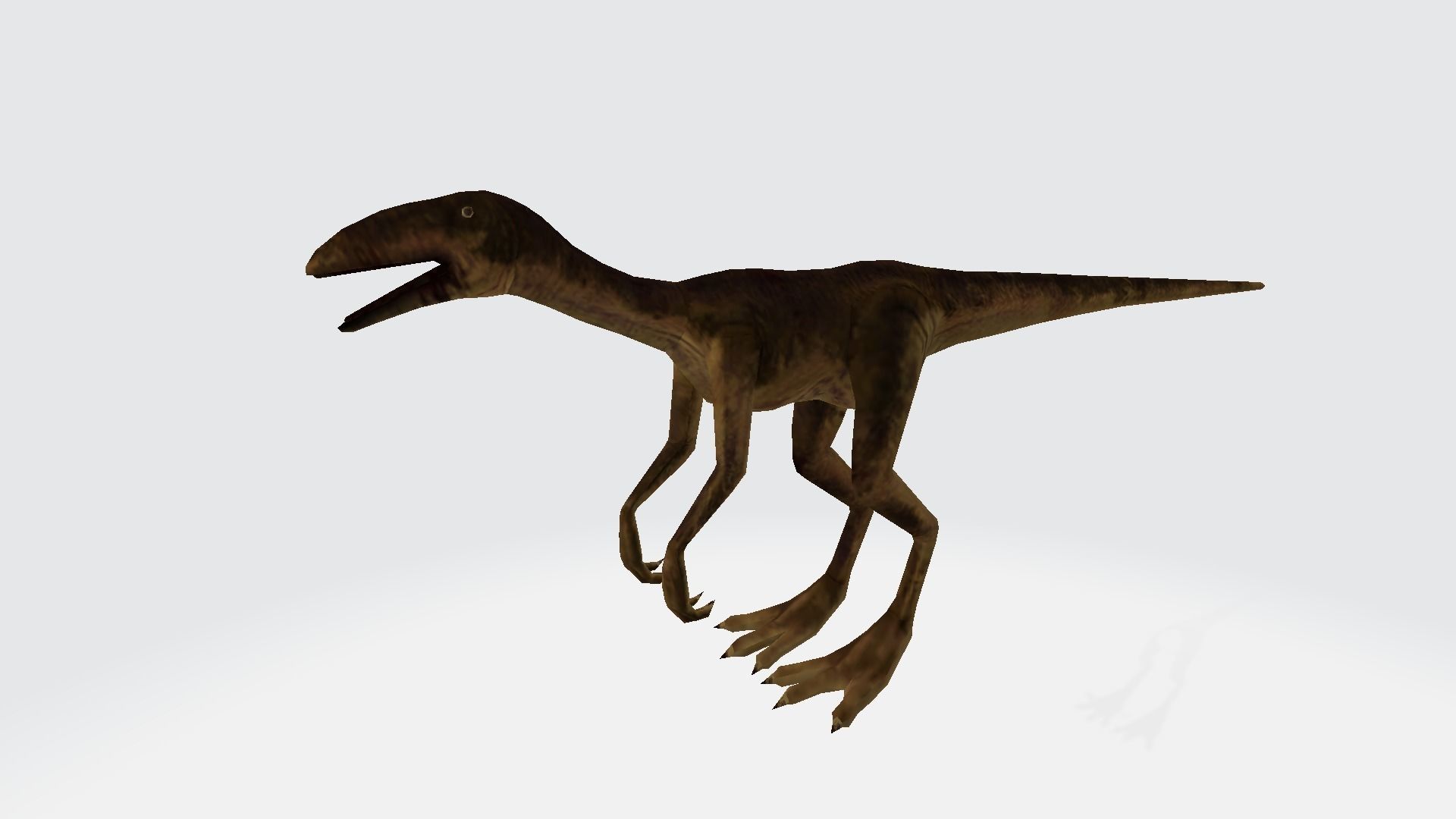 Echindon dinosaur 3D model_1