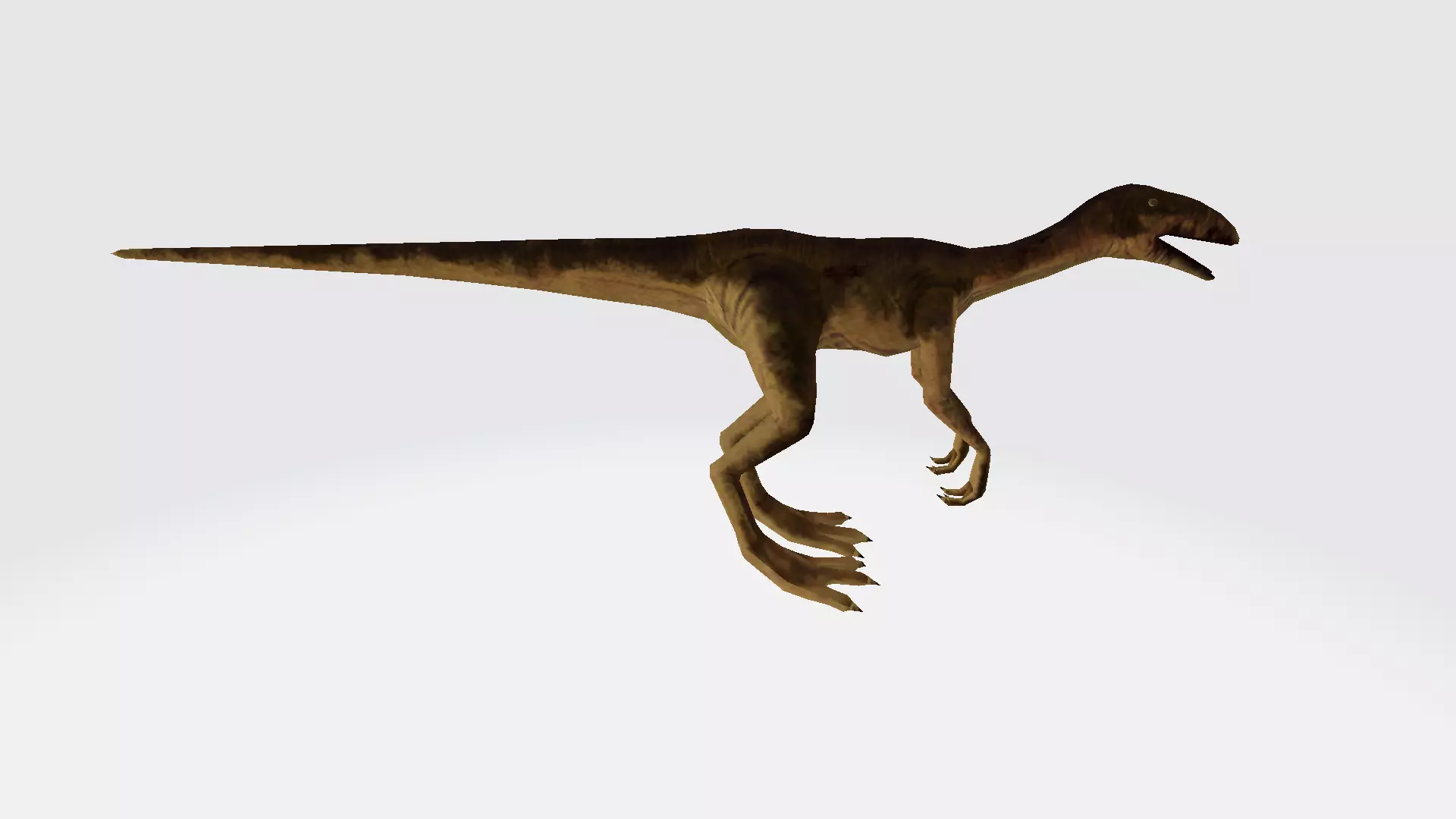 Echindon dinosaur 3D model_0