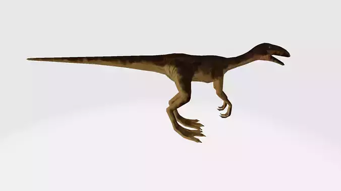 Echindon dinosaur