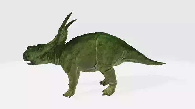 Achelousaurus dinosaur