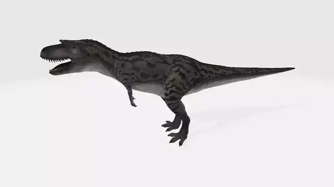 Albertosaurus t - rex dinosaur