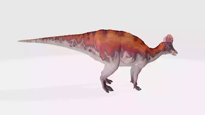 Amurosaurus dinosaur
