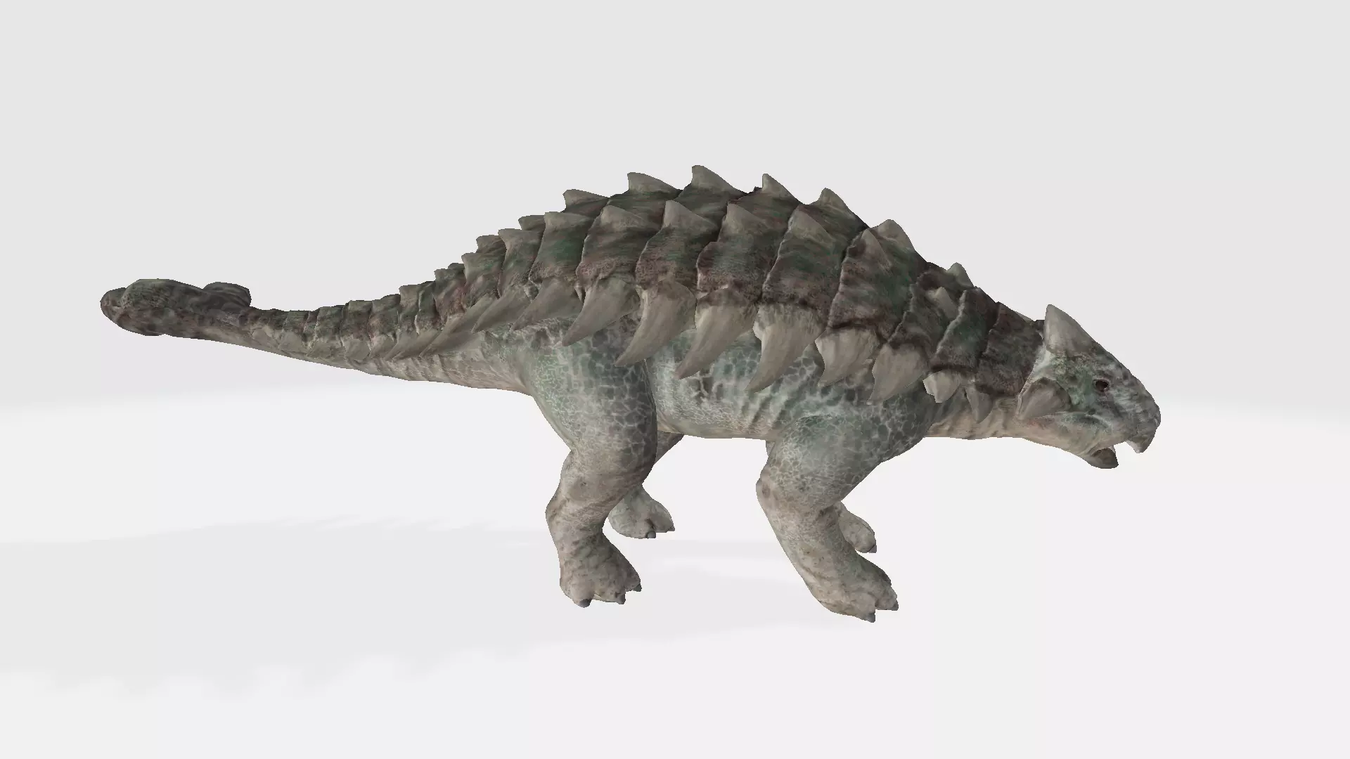 Ankylosaurus dinosaur 3D model_0