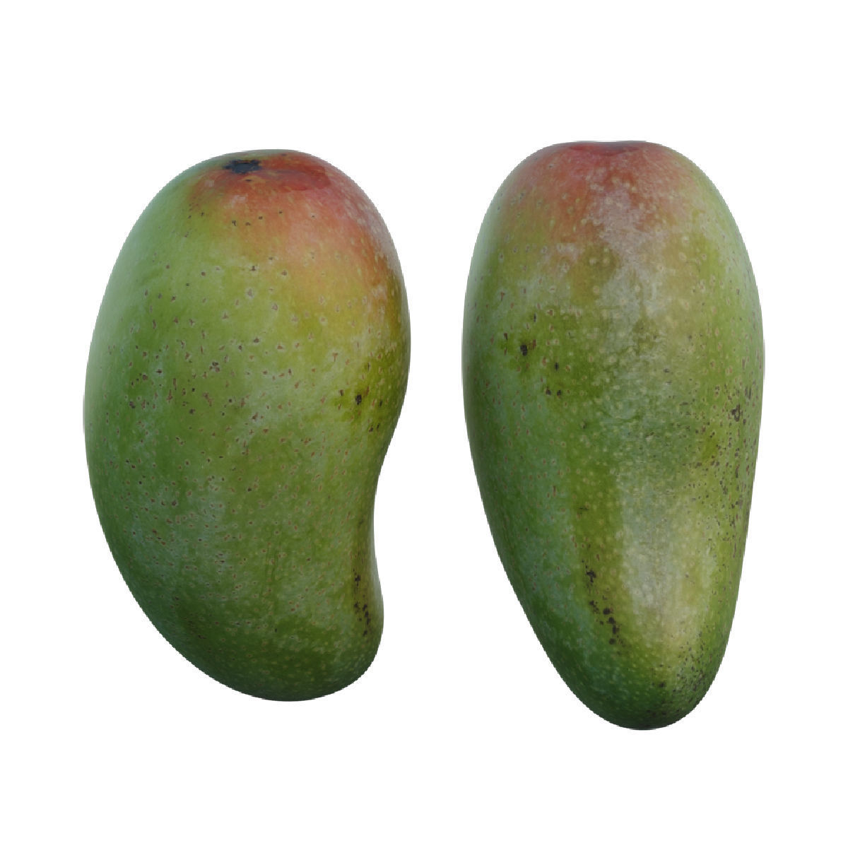 mango 03 3D model_6