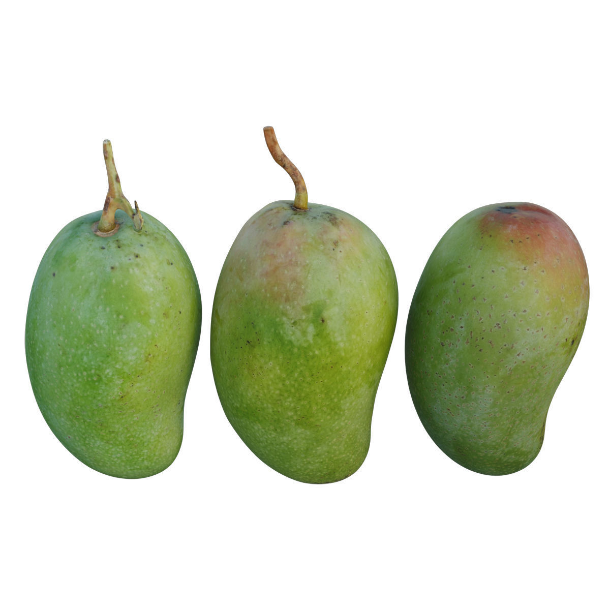 mango 03 3D model_1