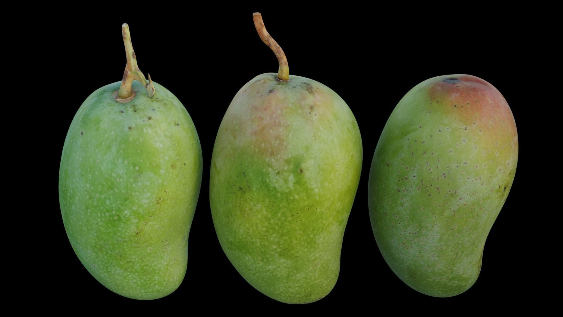 mango 03 3D model_10