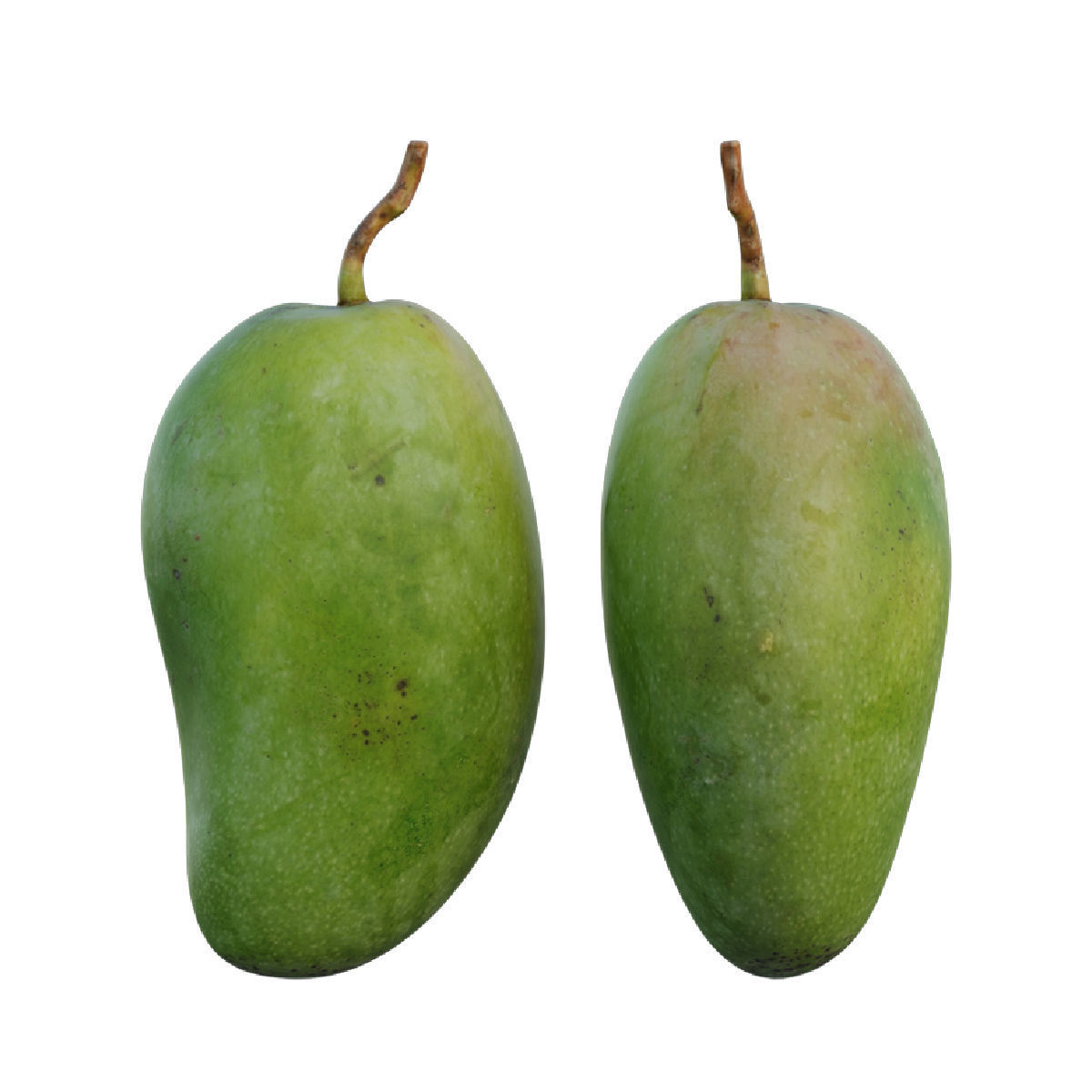 mango 03 3D model_4