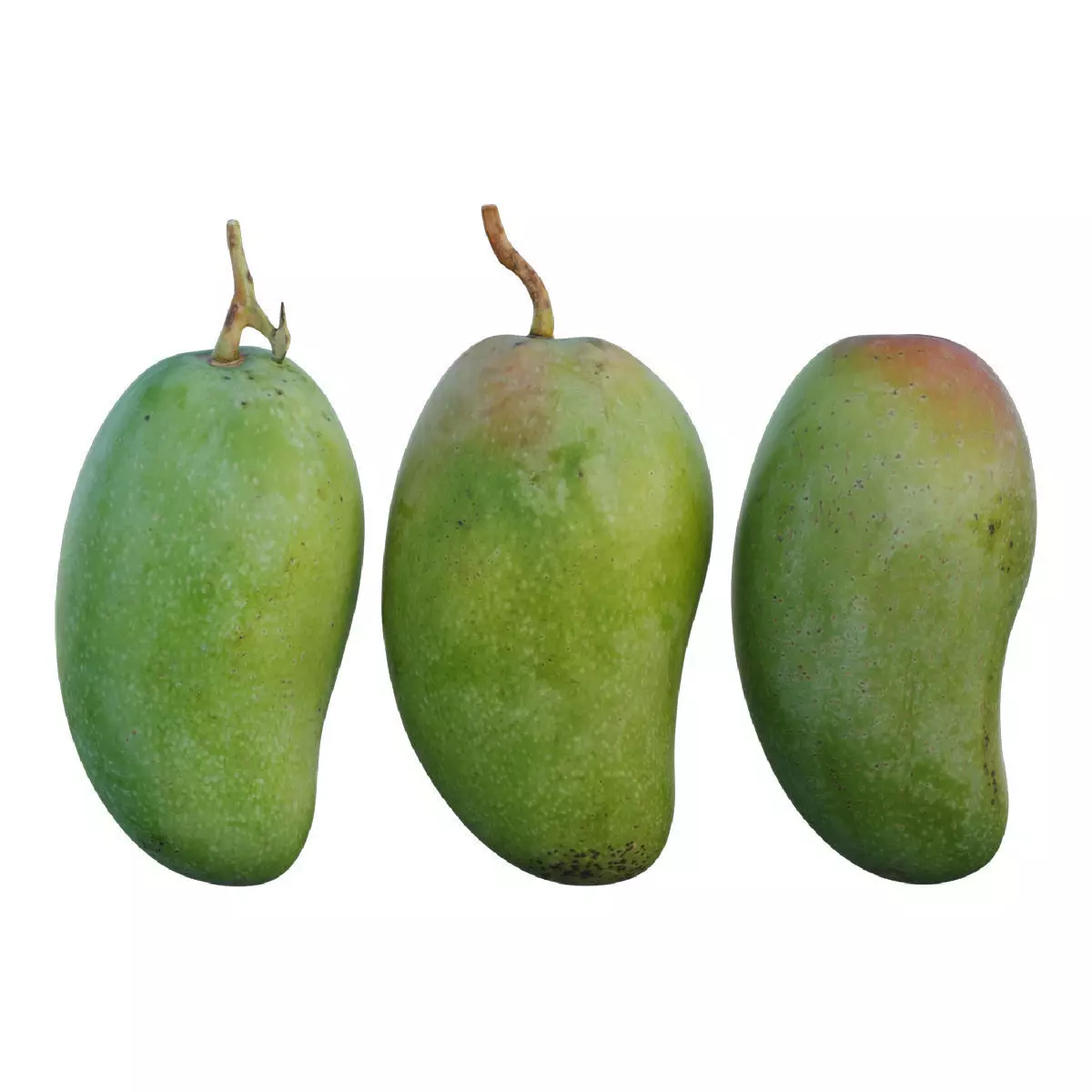 mango 03 3D model_0