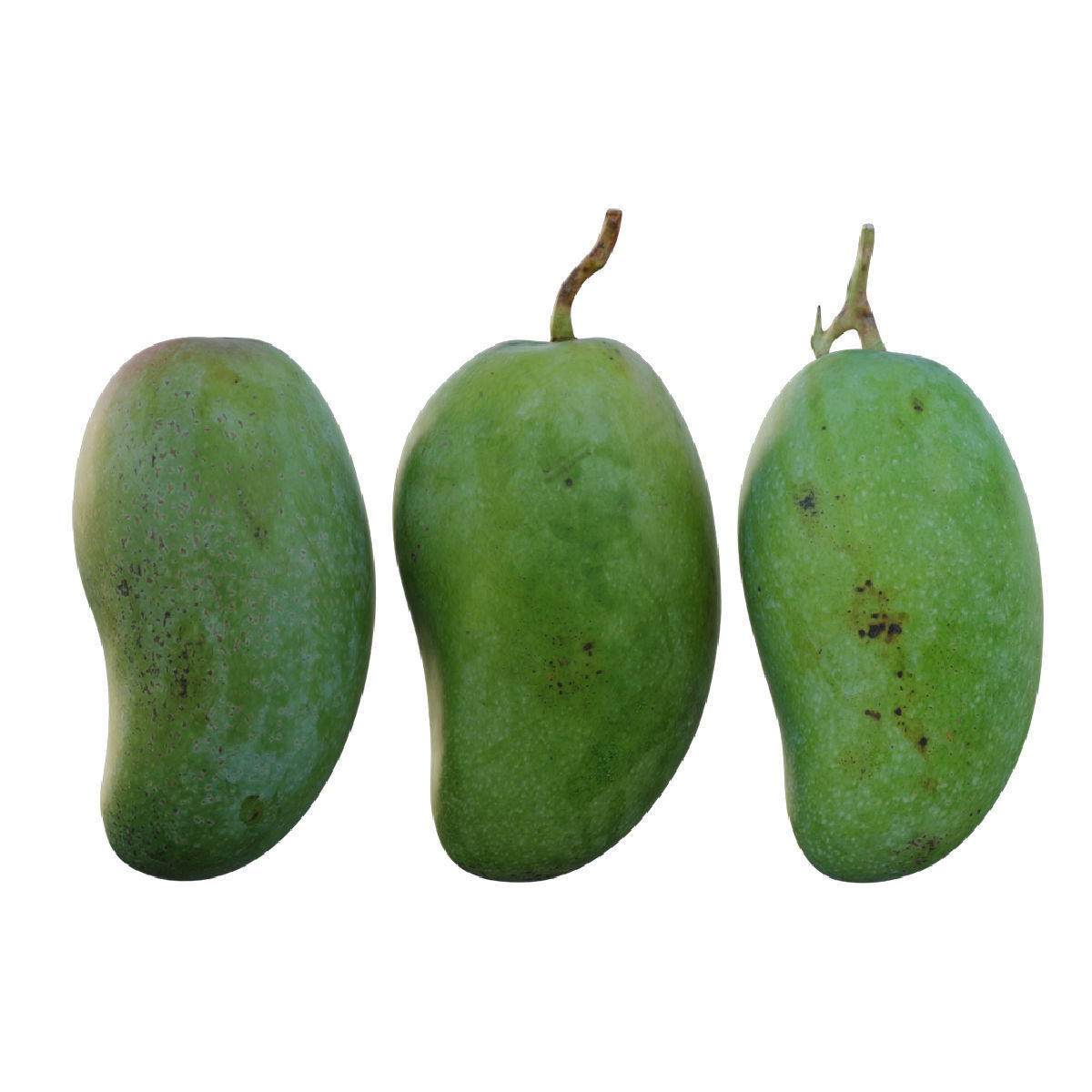 mango 03 3D model_2