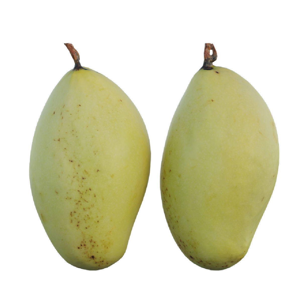 mango 04 3D model_3