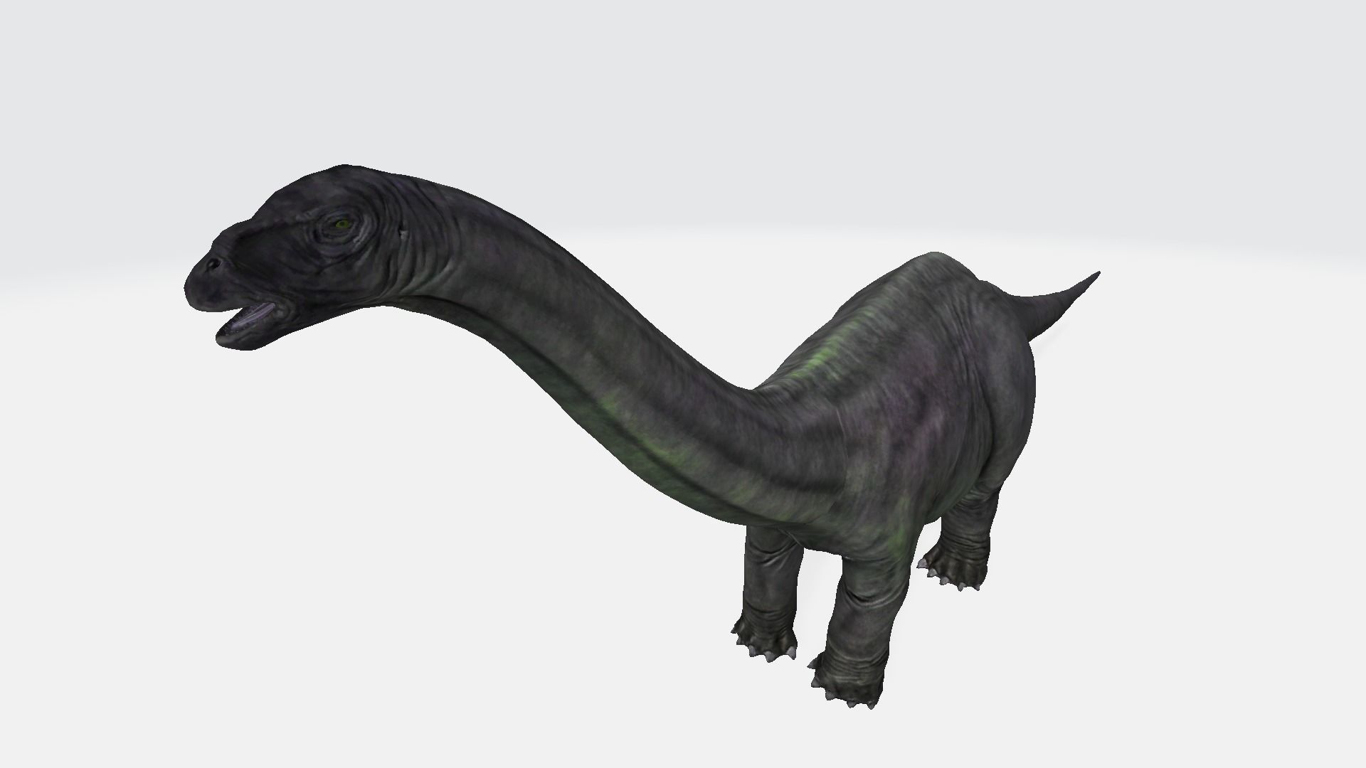 Argentinosaurus dinosaur 3D model_1