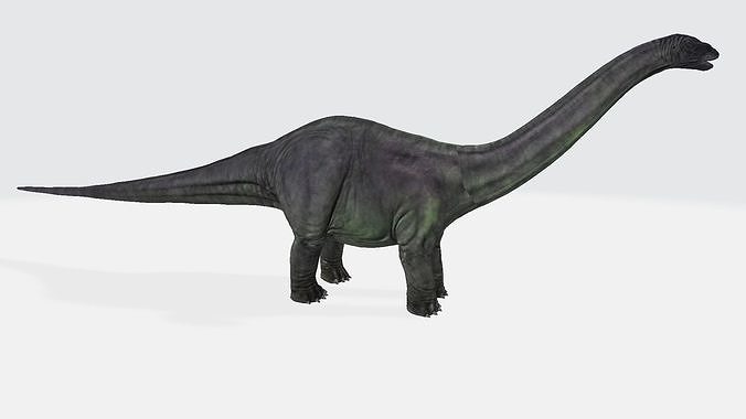 Argentinosaurus dinosaur 3D model